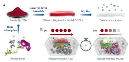 天津科技大學(xué)團隊研制so2比色檢測標(biāo)簽,助力破解微生物侵染食物難題