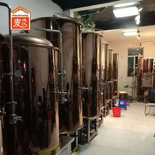 延邊鮮釀啤酒設(shè)備100l啤酒設(shè)備廠家 麥德氏