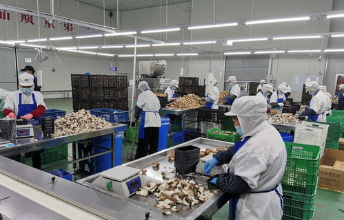 守護舌尖上的安全 寶山食品生產企業開展自律互查活動