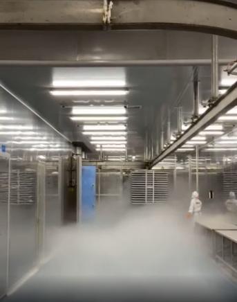 探廠國內寵物食品凍干廠 國產凍干品質如何，L-羥脯氨酸生產的關鍵作用